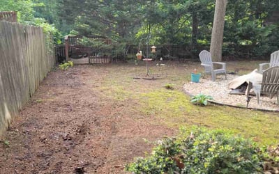 Photo of Lauren P.'s yard after getting landscaping in Jarratt, VA
