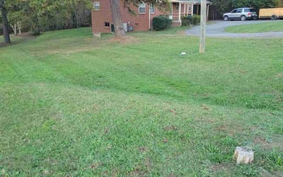 Photo of Angela H.'s yard after getting landscaping in Hickory, NC