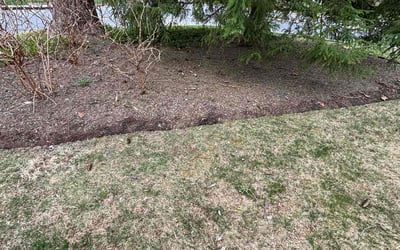 Photo of John D.'s yard after getting landscaping in Bethesda, MD