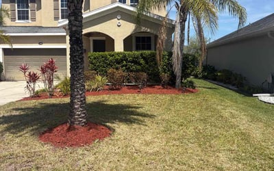 Photo of Robert B.'s yard after getting landscaping in Daytona Beach, FL