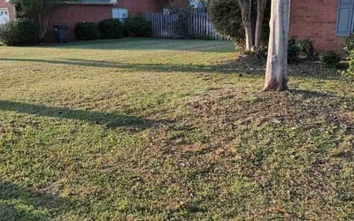 Photo of Mary A.'s yard after getting landscaping in Helena, AL