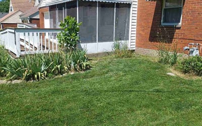Photo of Nichole T.'s yard after getting landscaping in Germantown, KY