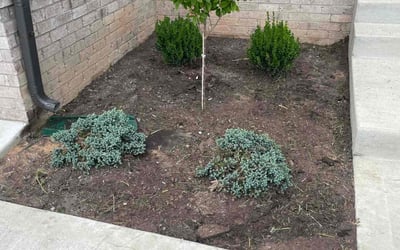 Photo of Tyler H.'s yard after getting landscaping in Wilmore, KY