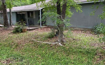 Photo of Matthew S.'s yard after getting landscaping in Kenney, TX