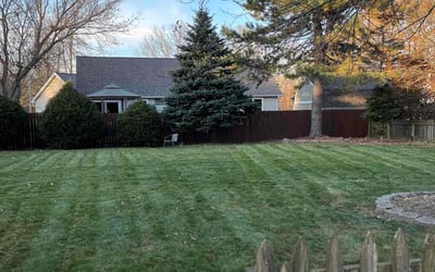 Photo of Ellyn D.'s yard after getting lawn care in Charlotte, MI
