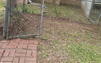 Photo of LaKia A.'s yard after getting landscaping in Rydal, GA