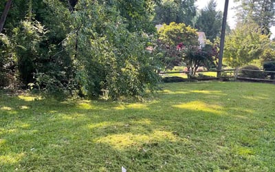 Photo of Tracey T.'s yard after getting landscaping in Lebanon, GA