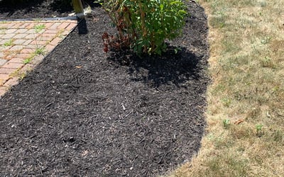 Photo of Lisa J.'s yard after getting landscaping in Sedalia, OH