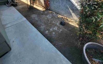 Photo of Jesse B.'s yard after getting landscaping in San Pedro, CA