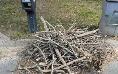 Photo of Linda G.'s yard after getting landscaping in Granite Quarry, NC