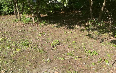 Photo of Mary D.'s yard after getting landscaping in Athol, MA