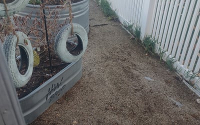 Photo of Kenzi B.'s yard after getting landscaping in Tooele, UT