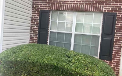 Photo of Kimberly C.'s yard after getting tree care in Clarkston, GA