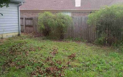 Photo of Pamela M.'s yard after getting landscaping in Memphis, TN