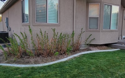 Photo of Sarah W.'s yard after getting landscaping in American Fork, UT
