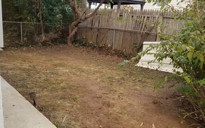 Photo of Robbin A.'s yard after getting tree care in Rockville, MD
