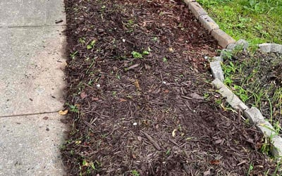 Photo of Amber C.'s yard after getting landscaping in Brookeville, MD