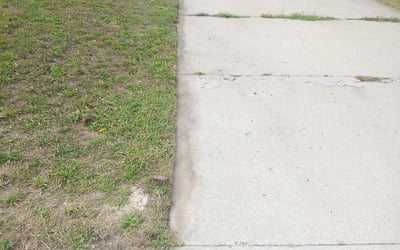 Photo of Bonnie L.'s yard after getting landscaping in Bluffton, IN