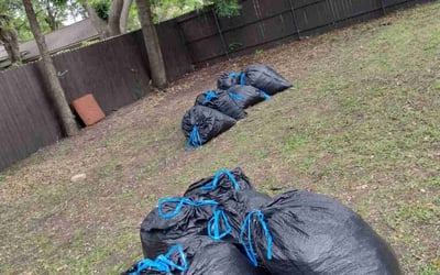Photo of Anusarika P.'s yard after getting landscaping in Ferris, TX