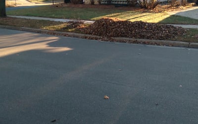 Photo of Edward K.'s yard after getting landscaping in Lodi, WI