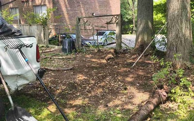 Photo of Calvin A.'s yard after getting tree care in Ft Mitchell, KY