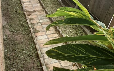 Photo of Robert C.'s yard after getting landscaping in Saint Rose, LA