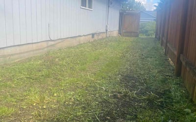 Photo of Michelle T.'s yard after getting landscaping in Scappoose, OR