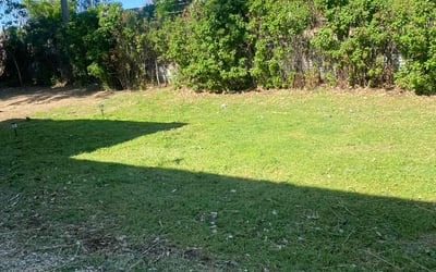 Photo of Sharon M.'s yard after getting landscaping in Florissant, CO