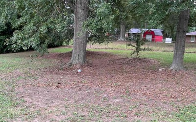 Photo of Jennifer N.'s yard after getting landscaping in Liberty, SC