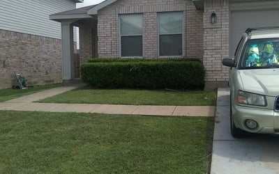 Photo of Steve C.'s yard after getting tree care in Granbury, TX