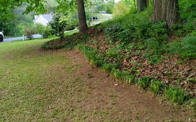 Photo of Robert C.'s yard after getting landscaping in Molena, GA