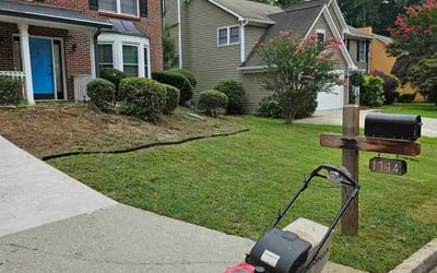 Photo of John J.'s yard after getting tree care in Stone Mountain, GA