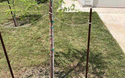 Photo of Sarah H.'s yard after getting landscaping in Fischer, TX