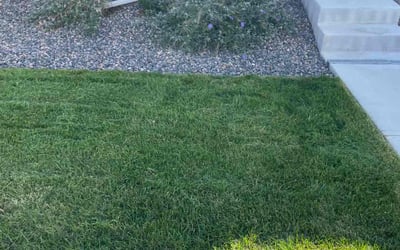 Photo of Matt B.'s yard after getting landscaping in Silver Plume, CO