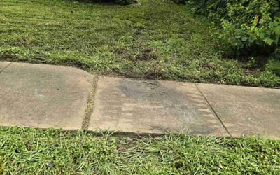 Photo of Jay Z.'s yard after getting tree care in Porter, TX