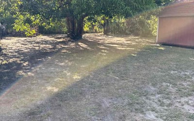 Photo of Elizabeth B.'s yard after getting landscaping in Tampa, FL