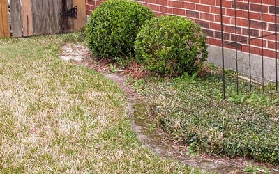 Photo of Adrian A.'s yard after getting tree care in Sugar Land, TX
