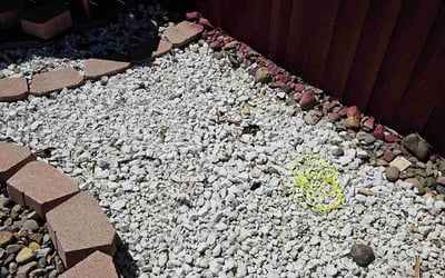 Photo of Nicole J.'s yard after getting landscaping in Kingsbury, TX