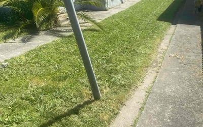 Photo of Pearl W.'s yard after getting landscaping in Napa, CA