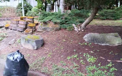 Photo of Jennifer K.'s yard after getting landscaping in Lynnwood, WA