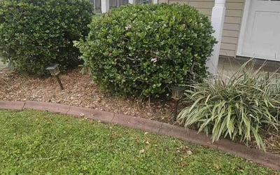 Photo of David D.'s yard after getting landscaping in Kenner, LA