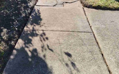 Photo of Juan A.'s yard after getting lawn care in Plymouth, MI