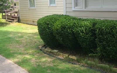 Photo of Gary G.'s yard after getting landscaping in Pell City, AL