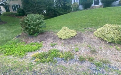 Photo of Jerome P.'s yard after getting landscaping in Fredericksburg, VA
