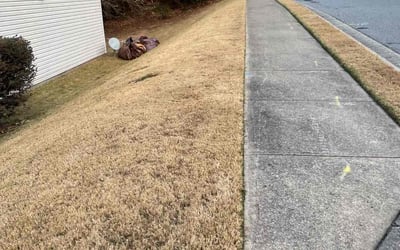 Photo of Kay C.'s yard after getting landscaping in Greenville, GA
