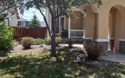 Photo of S Leigh B.'s yard after getting landscaping in Cascade, CO