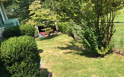Photo of Sharon J.'s yard after getting landscaping in Mound City, KS