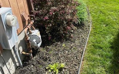 Photo of Lisa C.'s yard after getting landscaping in Buffalo, NY