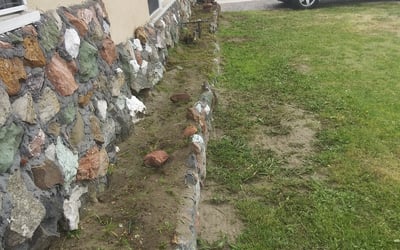 Photo of Joshua B.'s yard after getting landscaping in Bellflower, CA