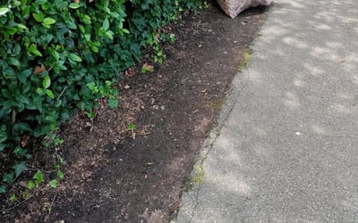 Photo of Christian L.'s yard after getting landscaping in Woods Cross Roads, VA